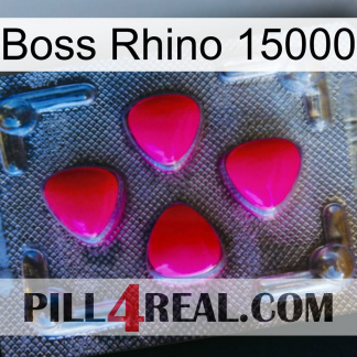 Boss Rhino 15000 13